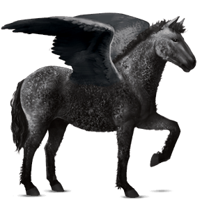 riding pegasus mustang cherry spotted blanket