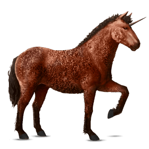 riding unicorn curly cherry bay