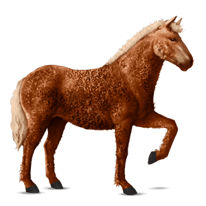 riding horse curly flaxen chestnut 