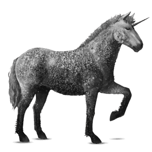 riding unicorn curly dapple grey