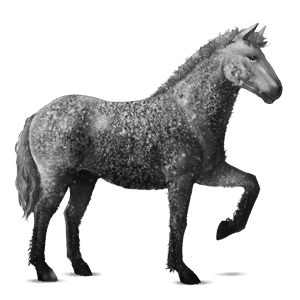 riding horse akhal-teke dapple grey