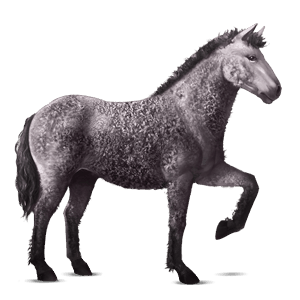 riding horse curly mouse grey