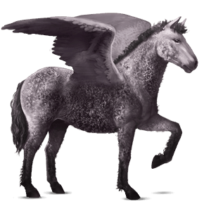riding pegasus thoroughbred palomino
