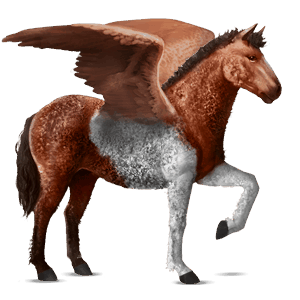 riding pegasus paint horse cherry bay tobiano