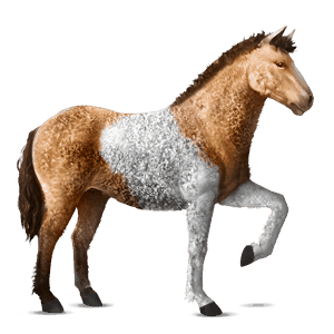 riding horse curly liver chestnut