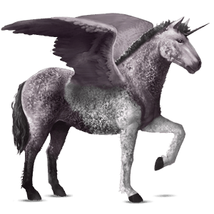 winged riding unicorn curly dapple grey tobiano