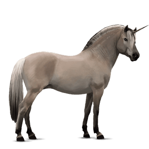 unicorn pony fleabitten grey