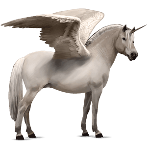 winged unicorn pony  fjord ulsblakk