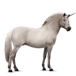 unicorn pony highland pony dun