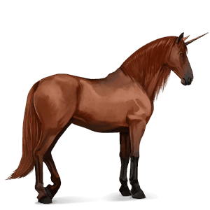 riding unicorn purebred spanish horse chestnut