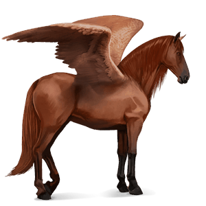 riding pegasus purebred spanish horse chestnut