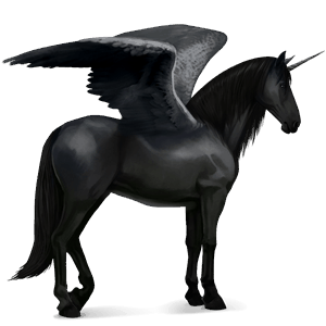 winged riding unicorn purebred spanish horse black
