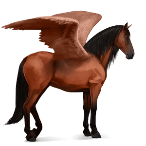 riding pegasus irish hunter cherry bay