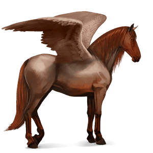 riding pegasus purebred spanish horse dapple grey
