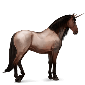 riding unicorn purebred spanish horse dapple grey