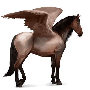 riding pegasus selle français roan