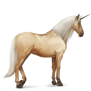 riding unicorn purebred spanish horse dapple grey