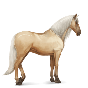 riding horse palomino