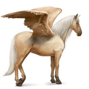 riding pegasus purebred spanish horse dun
