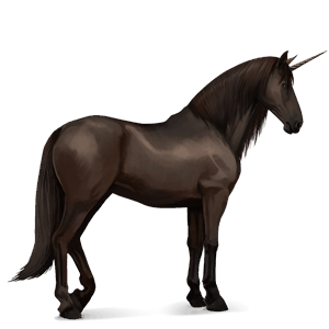 riding unicorn purebred spanish horse dapple grey