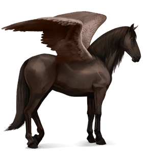 riding pegasus mustang dark bay