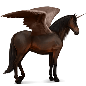 winged riding unicorn purebred spanish horse dark bay