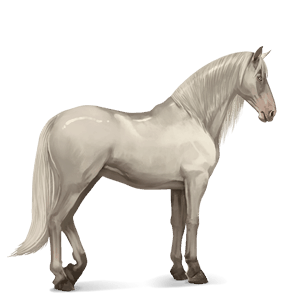 riding horse cremello