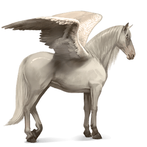riding pegasus purebred spanish horse cremello
