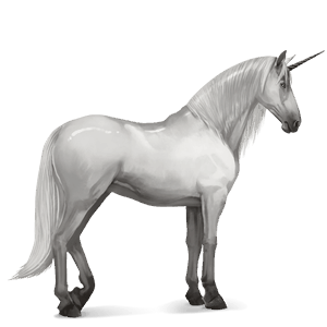 riding unicorn arabian horse light grey