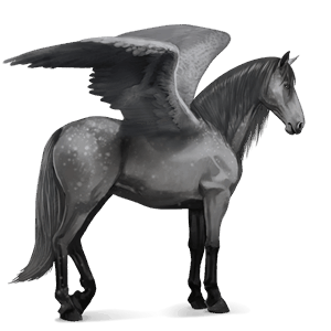 riding pegasus purebred spanish horse dapple grey