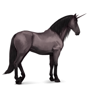 riding unicorn purebred spanish horse dapple grey