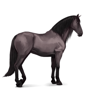 riding horse purebred spanish horse mouse grey