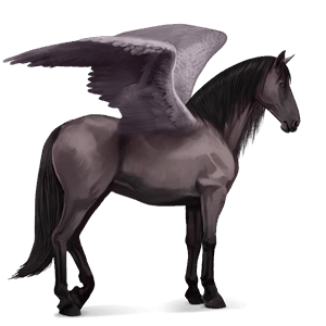riding pegasus fleabitten grey