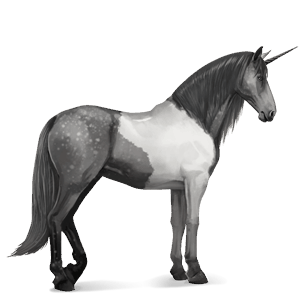 riding unicorn purebred spanish horse dapple grey