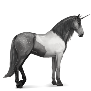 riding unicorn purebred spanish horse light grey