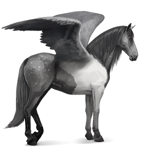 riding pegasus purebred spanish horse dapple grey