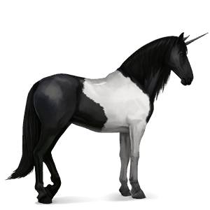 riding unicorn mangalarga marchador black tobiano