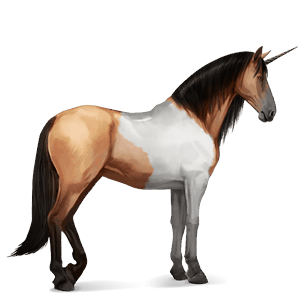 riding unicorn mangalarga marchador dun tobiano