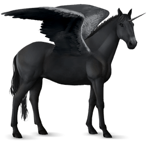 winged riding unicorn knabstrupper black