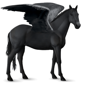 riding pegasus mustang black