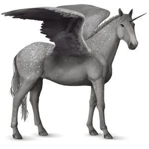 winged riding unicorn brumby dapple grey