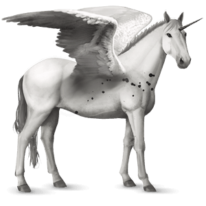 winged riding unicorn knabstrupper roan