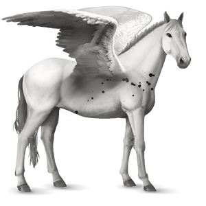 riding pegasus thoroughbred dark bay