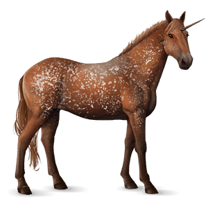 riding unicorn dark bay
