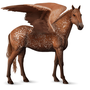riding pegasus knabstrupper chestnut snowflake 
