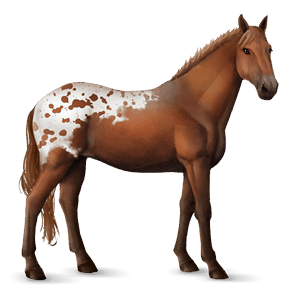 riding horse mustang chestnut