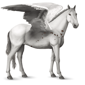 riding pegasus light grey