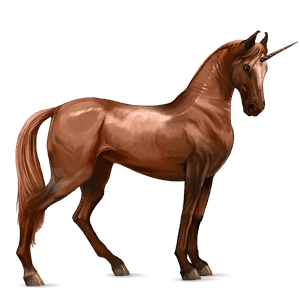 riding unicorn arabian horse chestnut
