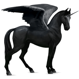 winged riding unicorn black