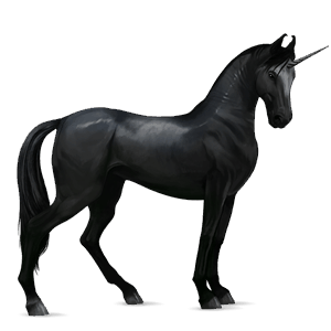 riding unicorn marwari black